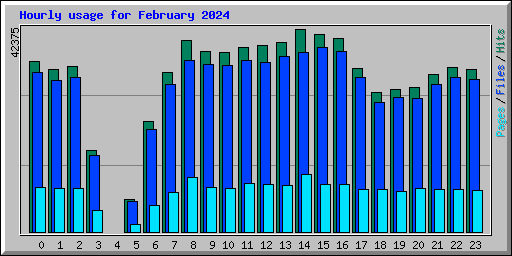 Hourly usage for February 2024