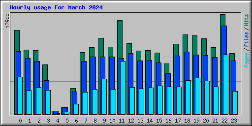 Hourly usage for March 2024