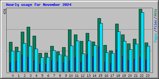 Hourly usage for November 2024